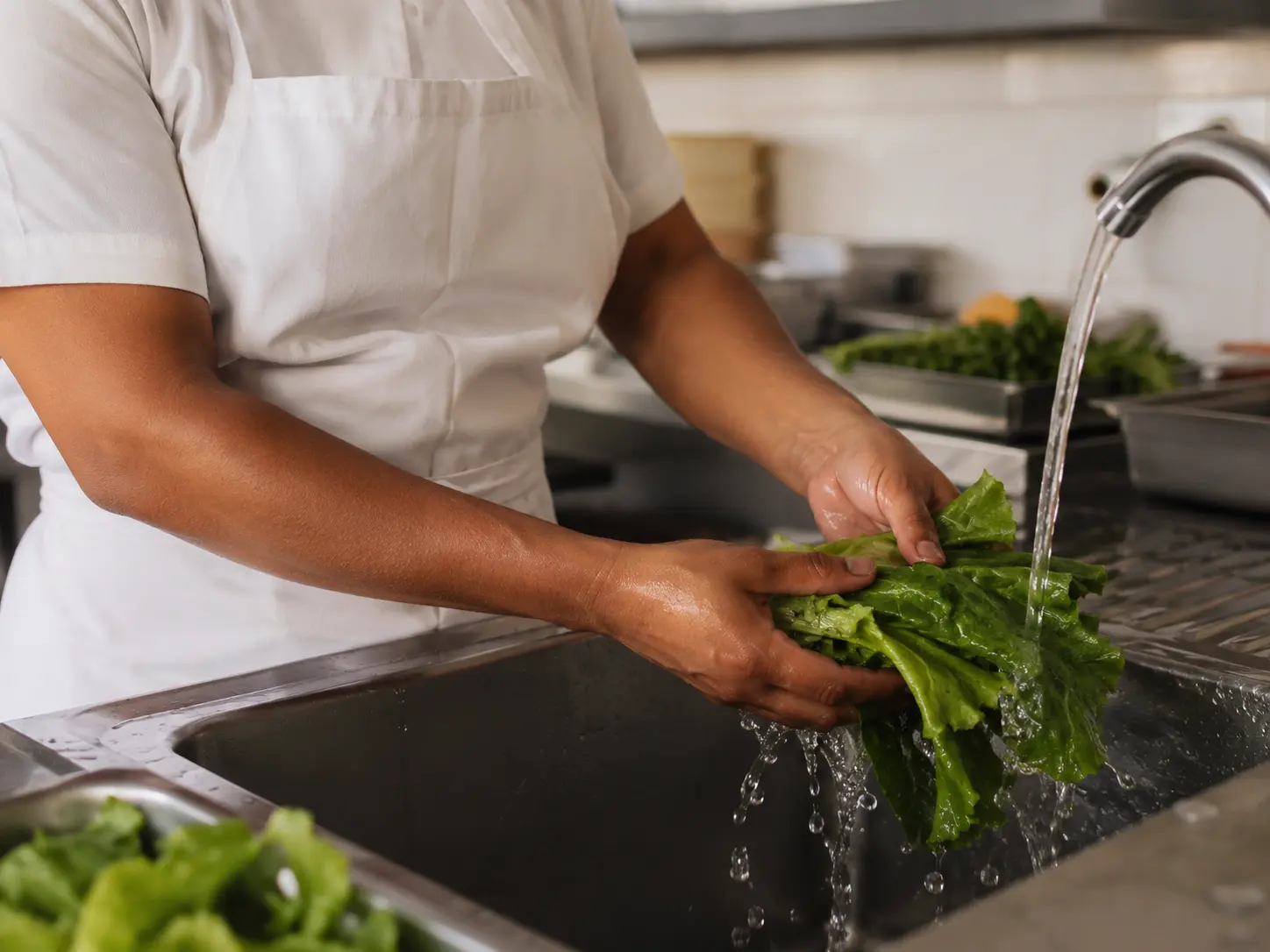 Curso de Manipulación de Alimentos